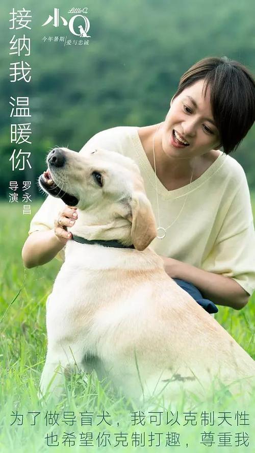 定制高仿玛丽亚学院文凭毕业证